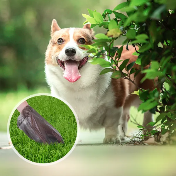 Bolsas de basura (20 rollos) - Imagen 2