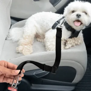 Cinturón de seguridad para perros