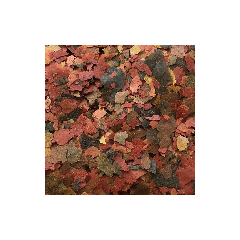 AMTRA ALIMENTO PARA PECES PRO FLAKE - Imagen 2