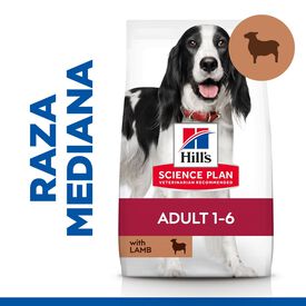 Hill's Science Plan Adult Medium Cordero y Arroz pienso para perros  2,5kg