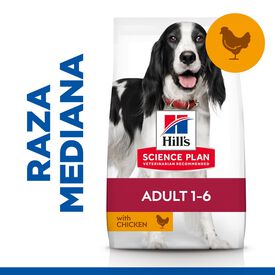 Hill's Science Plan Adult Medium Pollo pienso para perros  2,5kg
