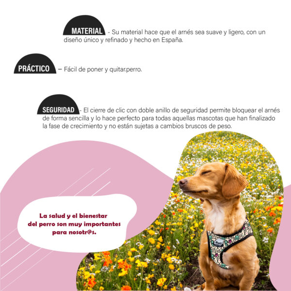 BULL PETRAL NYLON COLECCION PAWS LIFE TALLA 4 - Imagen 2