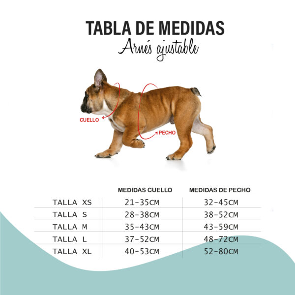 BULL ARNES REGULABLE FUN WALK   TALLA M - Imagen 4