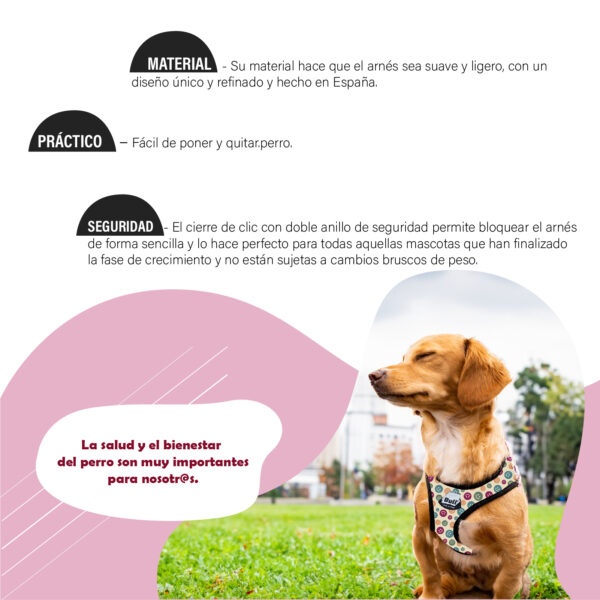 BULL ARNES CONFORT FUN WALK TALLA XS - Imagen 2