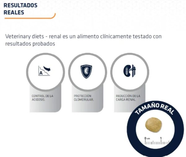 Advance Renal Veterinary Diet - Imagen 2