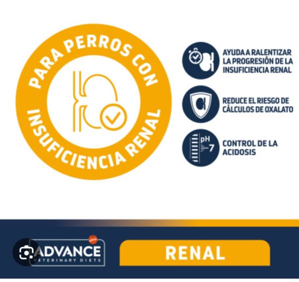 Advance Renal Veterinary Diet - Imagen 3