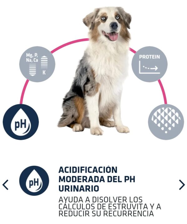 Advance Veterinary Diets Urinary - Imagen 3