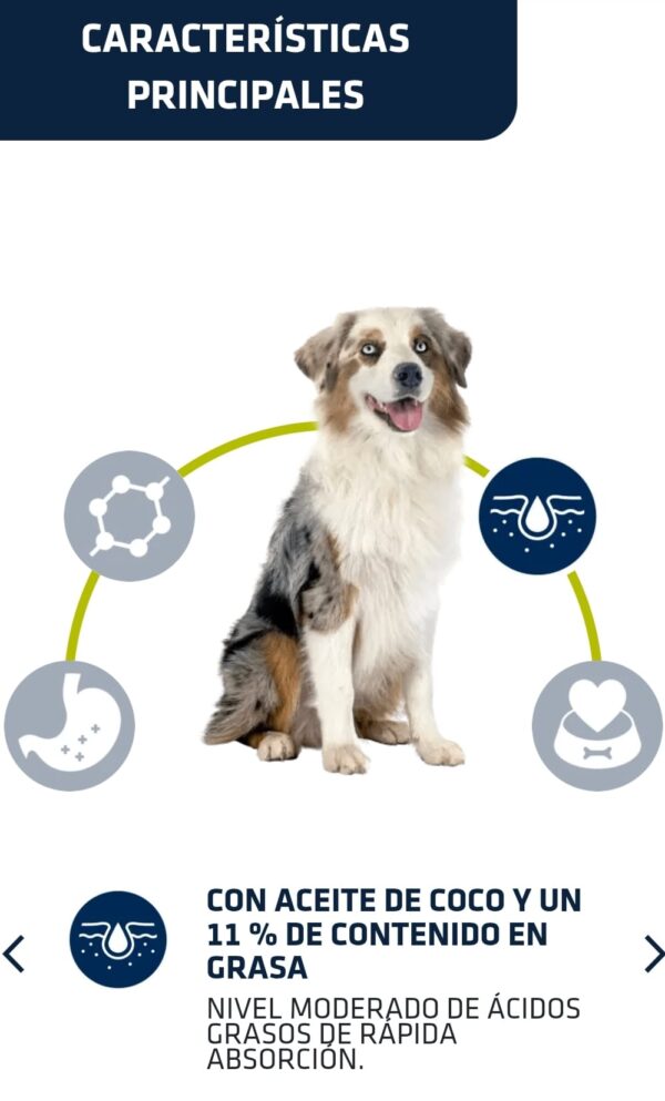 Advance Veterinary Diets Hypoallergenic Hydrolised Mini <10Kg - Imagen 4