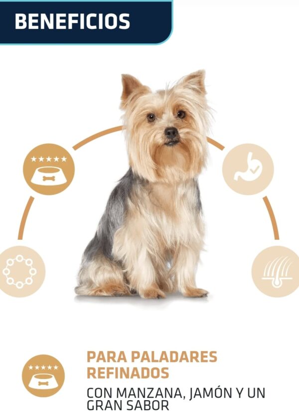 ADVANCE Active Defence Yorkshire Terrier 1.5Kg - Imagen 4