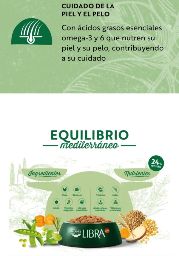 Adult Mini Con Pollo - Imagen 2